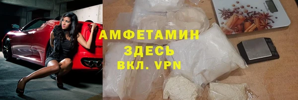 хмурый Магас