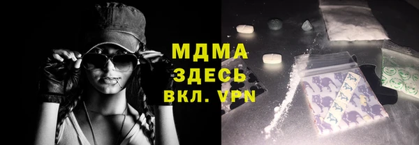прущие грибы Медвежьегорск