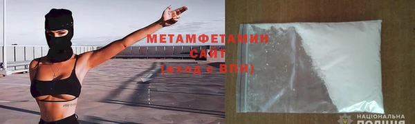 прущие грибы Медвежьегорск