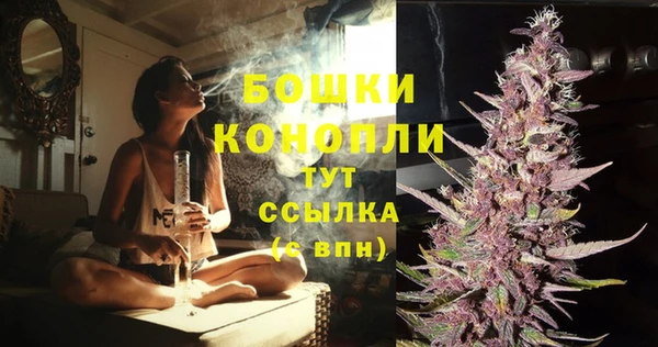 хмурый Магас