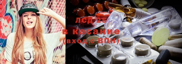 прущие грибы Медвежьегорск
