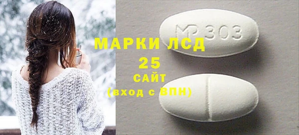 прущие грибы Медвежьегорск